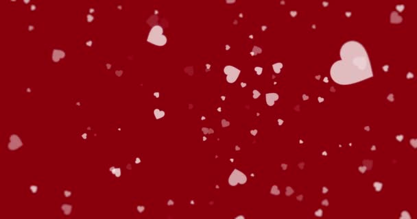 Бледные Розовые Сердца Плавающие Вокруг Темно Красном Фоне Любовь Страсть — стоковое видео