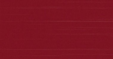 Dikensiz döngü üzerinde ilerleyen çoklu yatay kırmızı çizgilerin animasyonu. tekrar ve hareket kavramı dijital olarak oluşturuldu.
