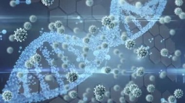 Dönen beyaz DNA ile yüzen covid hücrelerin animasyonu. dijital arayüz küresel bağlantılar konsepti dijital olarak oluşturulmuş video.