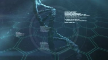 DNA türünün animasyonu veri ve bilgilerle bir ızgara üzerinde dönüyor. dijital arayüz küresel bağlantılar konsepti dijital olarak oluşturulmuş video.