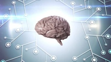 İnsan beyninin mikro işlemci bağlantılarıyla dönmesi. dijital arayüz küresel bağlantılar konsepti dijital olarak oluşturulmuş video.