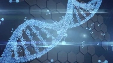 Mavi arkaplanda altıgen şekillere karşı dönen DNA yapısının dijital animasyonu. Bilgisayar arayüzü ve tıbbi araştırma teknolojisi kavramı.