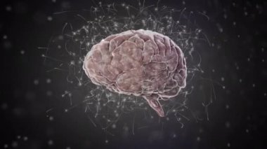İnsan beyninin dijital animasyonu ve gri arka planda dönen DNA yapısı. Bilgisayar arayüzü ve tıbbi araştırma teknolojisi kavramı.