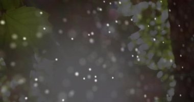 DNA yapısının dijital bileşimi güneş ışığına karşı dönerek bitkiler arasında dönüyor. Bilgisayar arayüzü ve tıbbi araştırma teknolojisi kavramı.