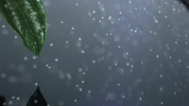 Yapraktan düşen su damlalarına karşı dönen DNA yapısının dijital bileşimi. Bilgisayar arayüzü ve tıbbi araştırma teknolojisi kavramı.