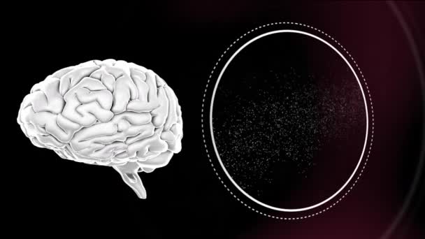 Цифровая Анимация Человеческого Мозга Структуры Днк Вращающихся Фиолетовом Фоне Компьютерный — стоковое видео