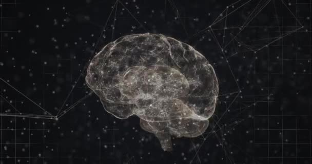 Cyfrowa Animacja Ludzkiego Mózgu Struktury Dna Obracające Się Przeciwko Sieci — Wideo stockowe