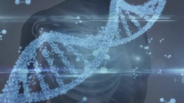 İnsan vücudunun ortasında dönen 3 boyutlu DNA iplikçiklerinin animasyonu. Küresel tıp, bilim ve genetik dijital olarak üretilen video.