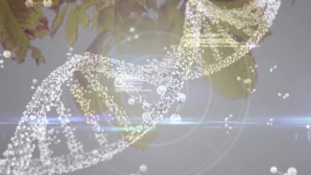 Dna鎖の回転と分子が木の上に浮かんでいるアニメーション グローバル医療 遺伝学デジタルで生成されたビデオ — ストック動画