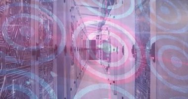 Boş bir sunucu odasında çoklu kırmızı ve beyaz dairelerin animasyonu. dijital arayüz küresel bağlantılar konsepti dijital olarak oluşturulmuş video.