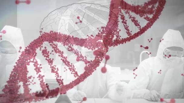 Animering Röd Dna Strand Spinning Och Molekyler Flyter Över Forskare — Stockvideo