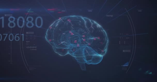 在蓝色背景下旋转人脑的数量不断增加 计算机接口和医学研究技术概念 — 图库视频影像