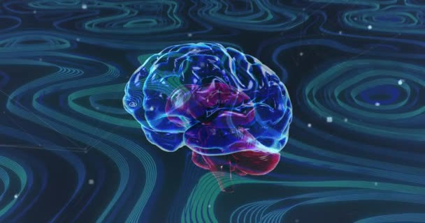 Animace Průhledného Modrého Mozku Rotujícího Zeleném Pozadí Blikajícími Body Světla — Stock video