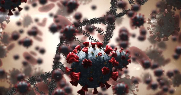 Цифрова Анімація Coronavirus Кров Яних Клітин Плаваючих Деформація Днк Обертається — стокове фото