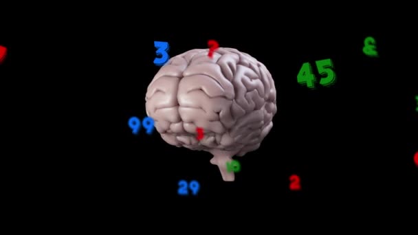 Анимация Чисел Изменяющихся Вращением Человеческого Мозга Обучение Концепция Знаний Цифрового — стоковое видео