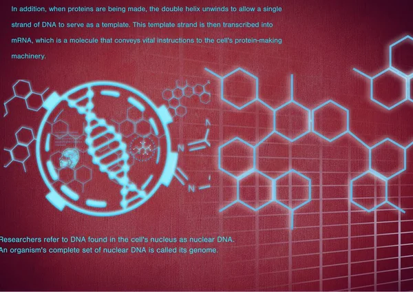 Wetenschappelijke Gegevensverwerking Met Dna Streng Scope Scanning Rode Achtergrond Mondiaal — Stockfoto