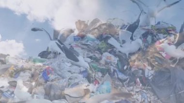 Atık atık alanındaki kuşların üzerindeki bulutların canlandırılması. Çevre, küresel ısınma ve iklim değişikliği kavramı dijital olarak oluşturulmuş video.