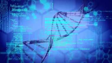 3D DNA iplikçiklerinin animasyonu ve mavi arkaplan üzerinde bilimsel veri işleme. küresel bilim, bağlantı ve iletişim konsepti dijital olarak oluşturulmuş video.