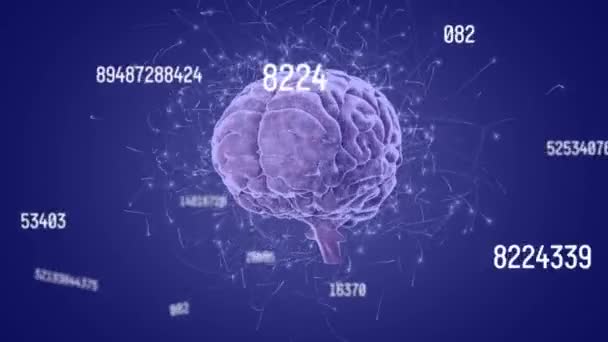 Анимация Чисел Изменяющихся Над Пурпурным Человеческим Мозгом Знания Образование Концепция — стоковое видео
