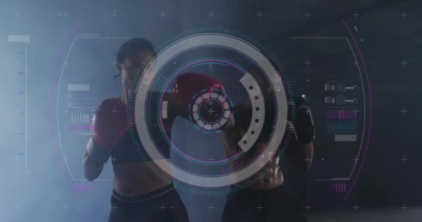 用拳击手套对男女运动员的统计数字和图表进行动画制作 数码接口全球体育和性能概念数字生成视频 — 图库视频影像