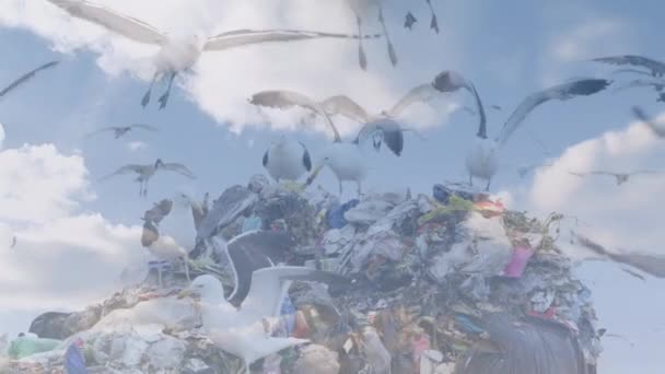 Animation Von Wolken Mit Vögeln Die Über Eine Mülldeponie Fliegen — Stockvideo