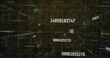 Çoklu değişen sayılar ve siyah zemin üzerinde hareket eden ışık izleri. küresel ağ ve bilgisayar teknolojisi kavramı