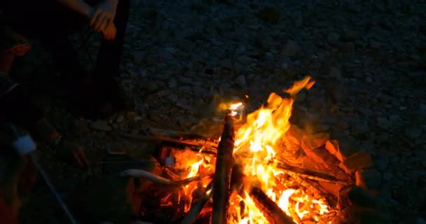 Vídeo Composto Digital Grupo Amigos Assando Marshmallows Fogueira Durante Acampamento — Vídeo de Stock