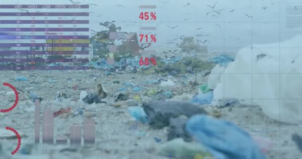 利用鸟儿在空中飞翔对垃圾填埋场进行财务数据处理 金融和经济概念 — 图库视频影像