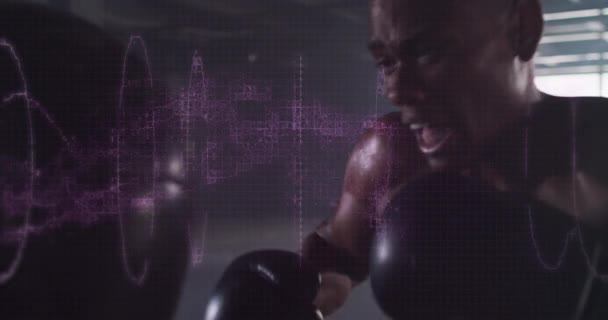 Vídeo Compuesto Digital Ondas Digitales Púrpura Contra Boxeador Masculino Perforando — Vídeos de Stock