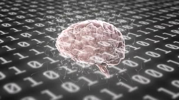 Cerebro Humano Girando Contra Procesamiento Datos Codificación Binaria Sobre Fondo — Vídeo de stock