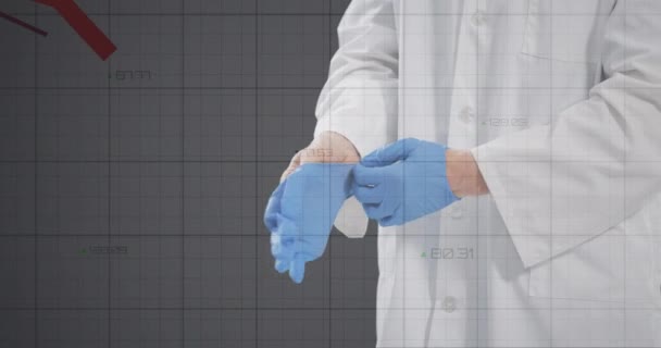 Elaborazione dei dati finanziari contro metà sezione del medico che indossa guanti chirurgici — Video Stock