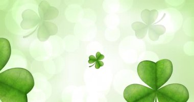 Yeşil arka planda beyaz spot ışıklarının üzerine düşen yonca yapraklarının animasyonu. Aziz Patrick Günü kutlamaları ve dijital olarak üretilen İrlanda geleneği..