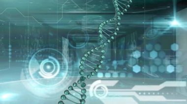 DNA yapısı dönüyor ve tıbbi veri işleme ekranlarıyla karşılaştırılıyor. tıbbi araştırma ve teknoloji konsepti