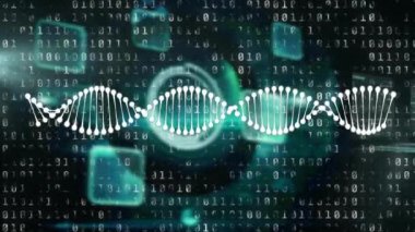 DNA yapısı, ikili kodlamaya karşı tıbbi veri işleme ekranlarında dönüyor. tıbbi araştırma ve teknoloji konsepti