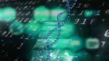 DNA yapısı, ikili kodlamaya karşı tıbbi veri işleme ekranlarında dönüyor. tıbbi araştırma ve teknoloji konsepti
