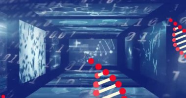 DNA yapısı, ikili kodlamaya karşı tıbbi veri işleme ekranlarında dönüyor. tıbbi araştırma ve teknoloji konsepti
