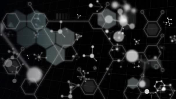 Animación Digital Múltiples Estructuras Moleculares Flotando Sobre Fondo Negro Concepto — Vídeo de stock