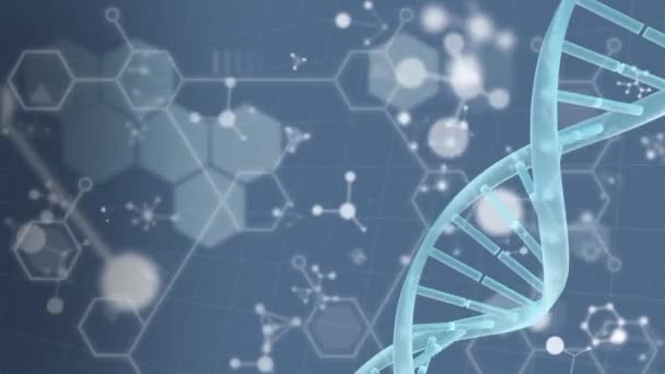 Dna Structuur Draait Moleculaire Chemische Structuren Zwevend Tegen Een Blauwe — Stockvideo