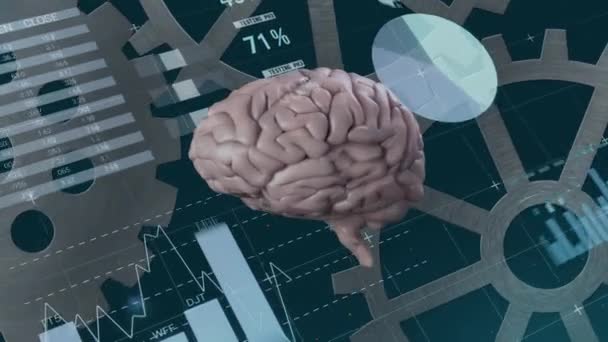 Animation Traitement Des Données Financières Sur Cerveau Humain Les Rouages — Video