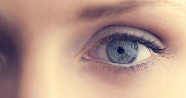 在白色背景下 女性灰色眼睛的近视 网络安全和计算机技术概念 — 图库视频影像