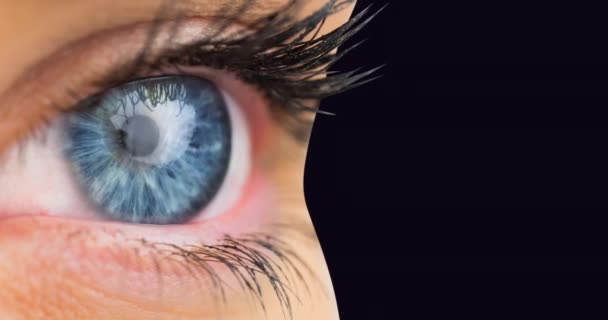 Крупный План Женского Голубого Глаза Черном Фоне Концепция Информационной Безопасности — стоковое видео