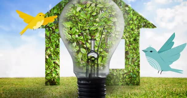 在蓝天的映衬下 鸟类在球茎和房子里的植物上移动的数字动画 绿色和可再生能源概念 — 图库视频影像