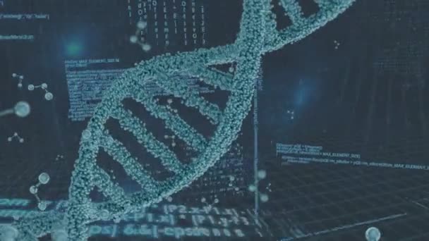 Animering Dna Strängen Spinning Och Databehandling Över Grå Bakgrund Globalt — Stockvideo