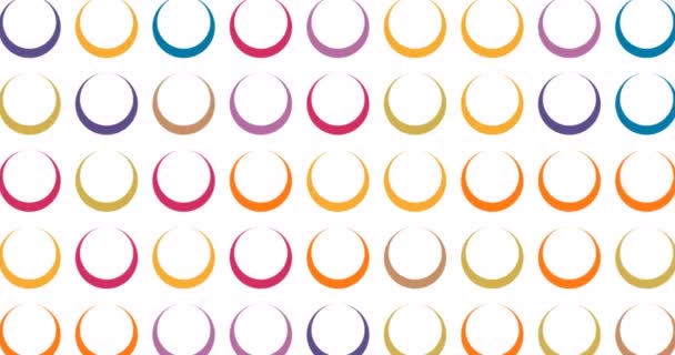 Digital Animation Multiple Colorful Circular Shapes Black Background Illustrations Seamless — Stock Video