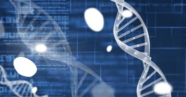 Mavi arkaplandaki veri işlemesine karşı DNA yapısının dijital olarak oluşturulmuş görüntüsü. tıbbi araştırma ve teknoloji konsepti