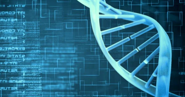 Digitalt Genererad Bild Dna Struktur Mot Databehandling Blå Bakgrund Medicinsk — Stockfoto