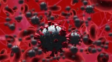 Kırmızı zemin üzerinde yüzen kovid 19 ve kırmızı kan hücrelerinin animasyonu. küresel koronavirüs salgını, tıp ve halk sağlığı konsepti dijital olarak oluşturulmuş video.