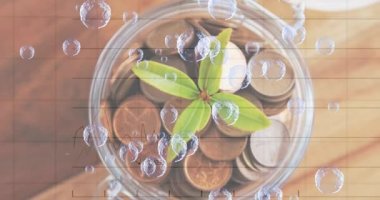 Paralarla dolu bir bardakta bitkiye karşı finansal veri işleme üzerinde yüzen birden fazla kabarcık. küresel finans ve ekonomi kavramı