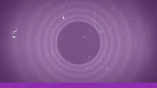 浮点和黑色水平线的动画在紫色的圆周上闪烁 老式电影摄影 光和色彩概念数码生成的视频 — 图库视频影像