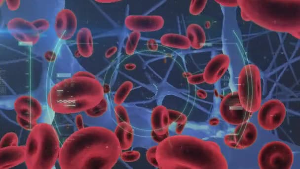スコープスキャニングで浮遊する19個の細胞と赤血球のアニメーション 世界的なコロナウイルスのパンデミック 公衆衛生の概念がデジタルで生成されたビデオ — ストック動画
